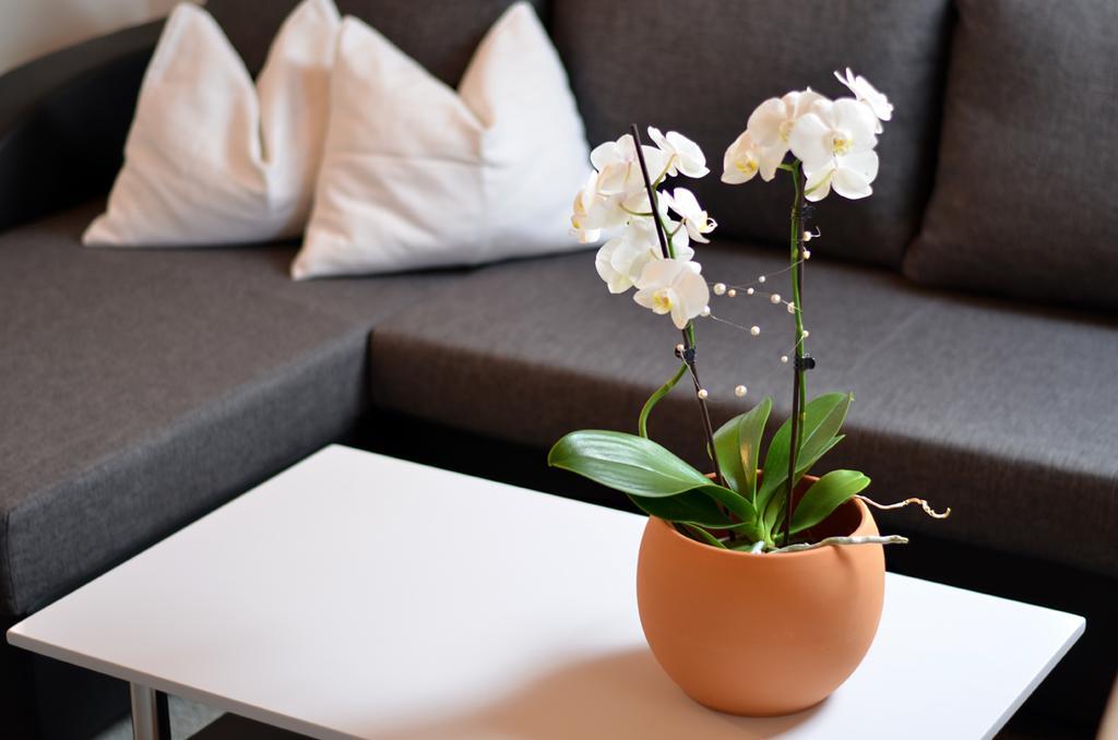 Appartements Mantinger Mauterndorf  Eksteriør billede